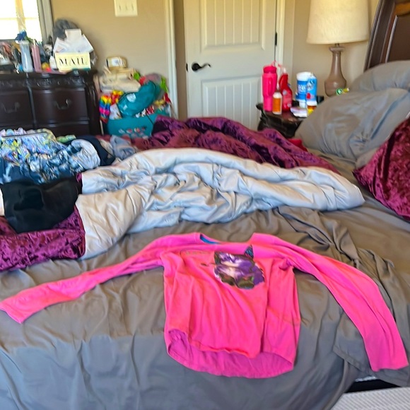 Purple cat - Picture 1 of 1